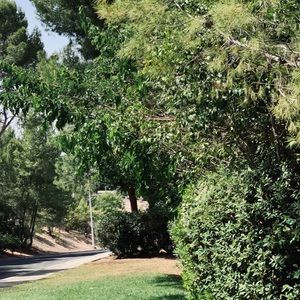 Meet your Posher, Aritza